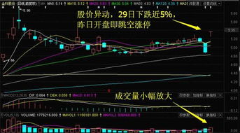 中信重工與掌趣科技逆市上漲，今日重點關注這三只互聯網概念股