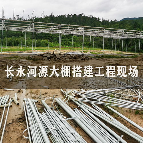 溫室建設指南 價格趨勢、廠家選擇與大棚薄膜應用
